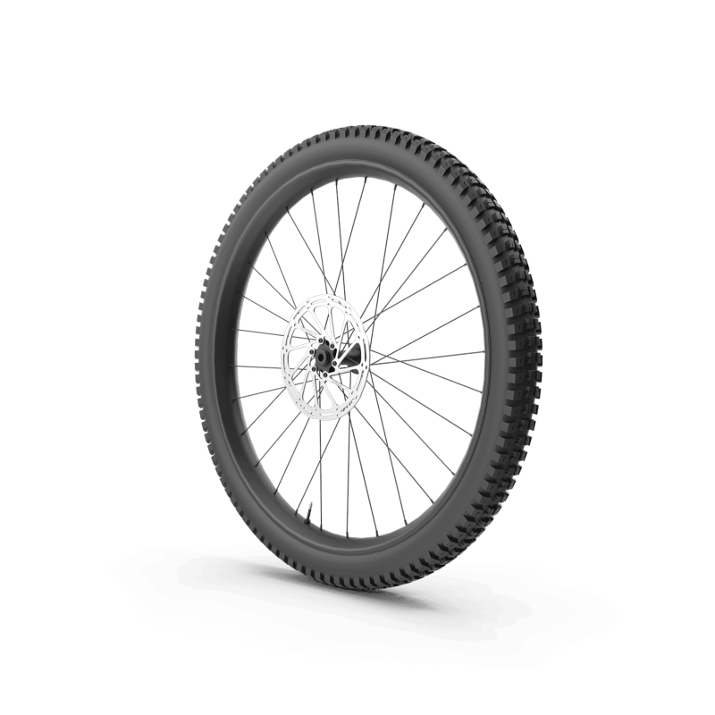 Mountain Bike Wheel 01