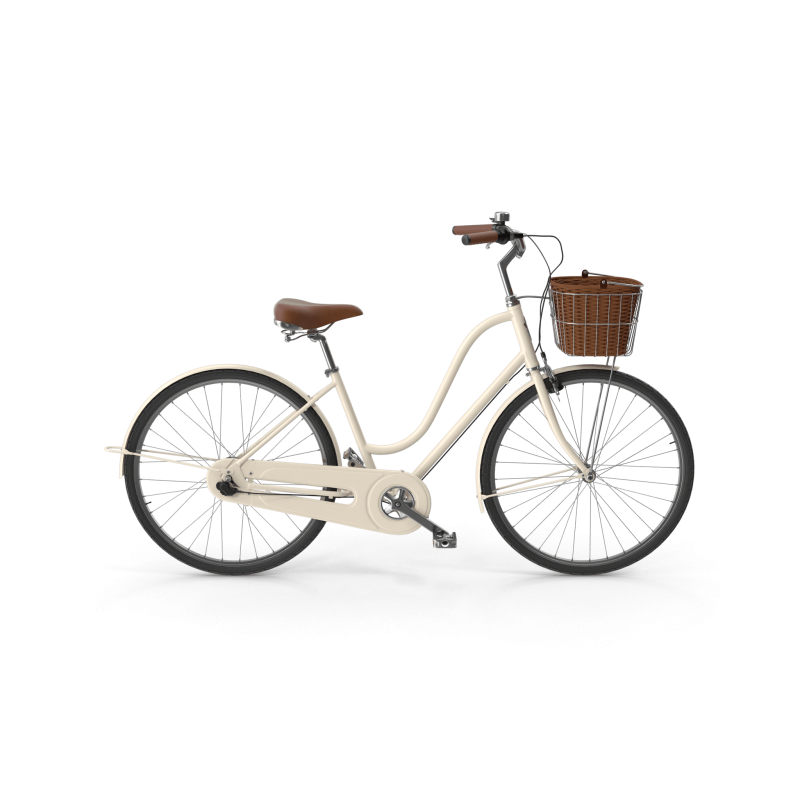 City Bike with Basket