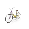 Rainbow Polyvalent Bike