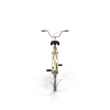 Rainbow Polyvalent Bike