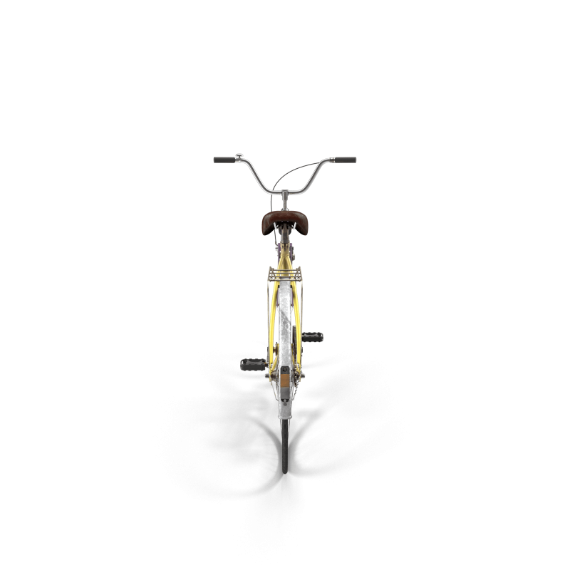 Rainbow Polyvalent Bike