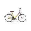 Rainbow Polyvalent Bike
