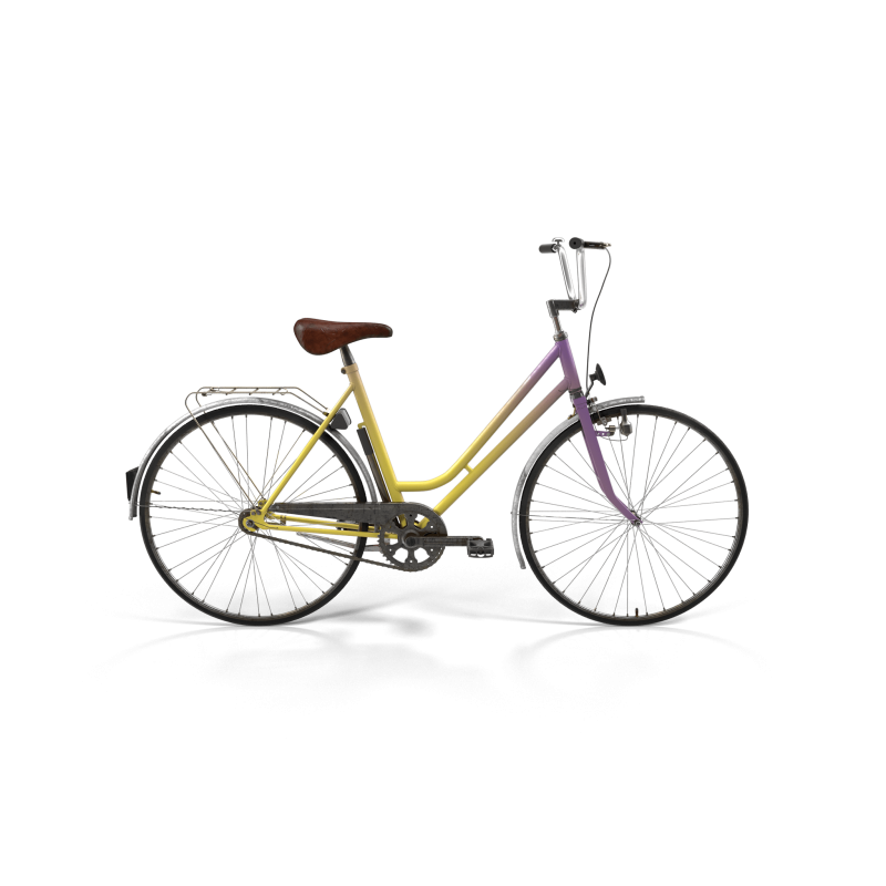 Rainbow Polyvalent Bike