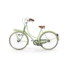 Classic Transport Bike