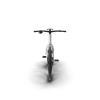 Electric Carbon Bike