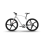 Electric Carbon Bike