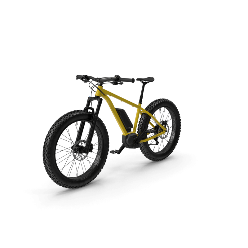 Electric Fat Bike