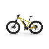Electric Fat Bike