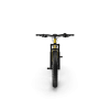 Electric Fat Bike