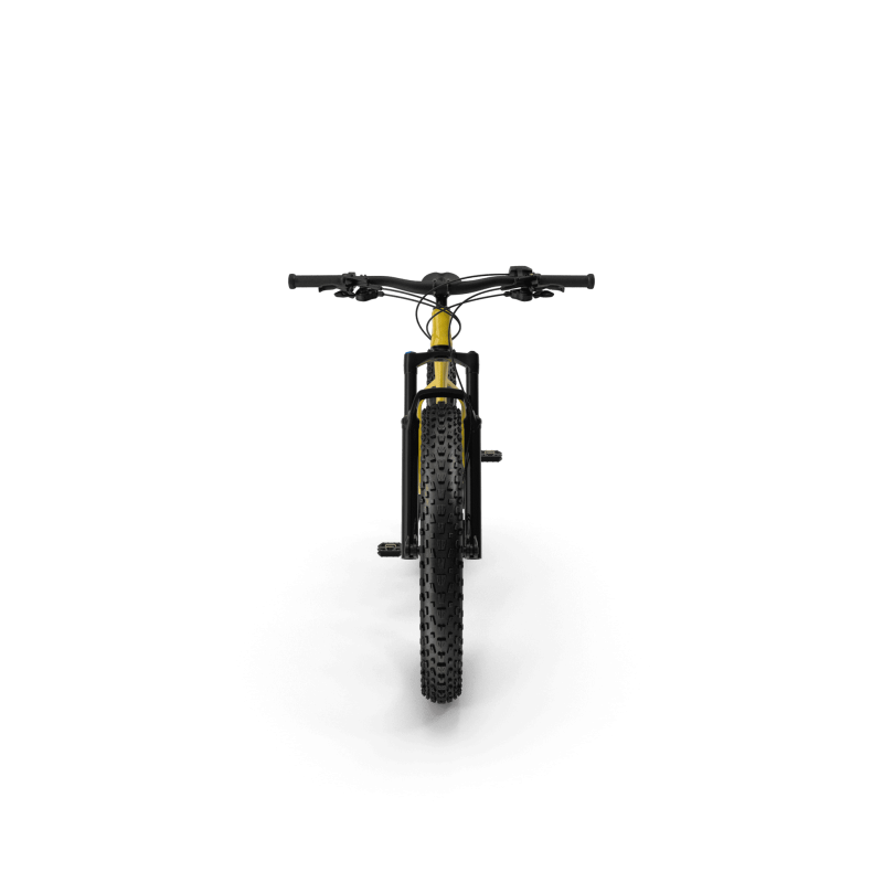 Electric Fat Bike