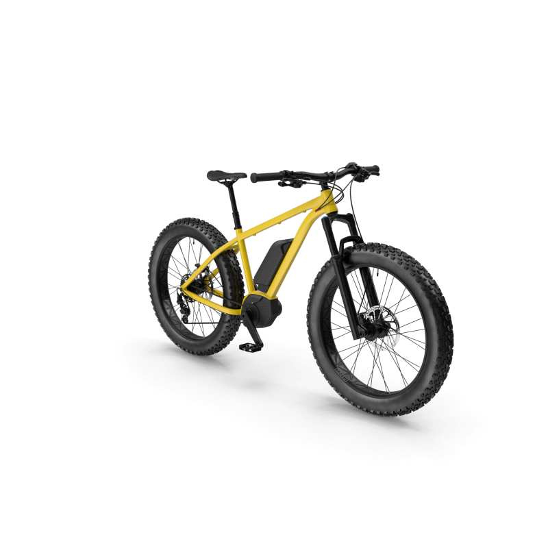 Electric Fat Bike