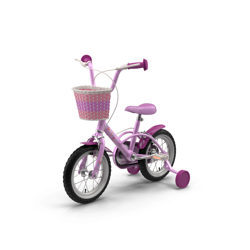 Girls Bike with Training Wheels