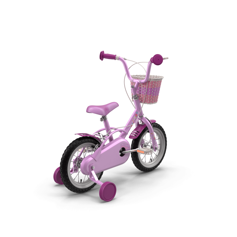Girls Bike with Training Wheels
