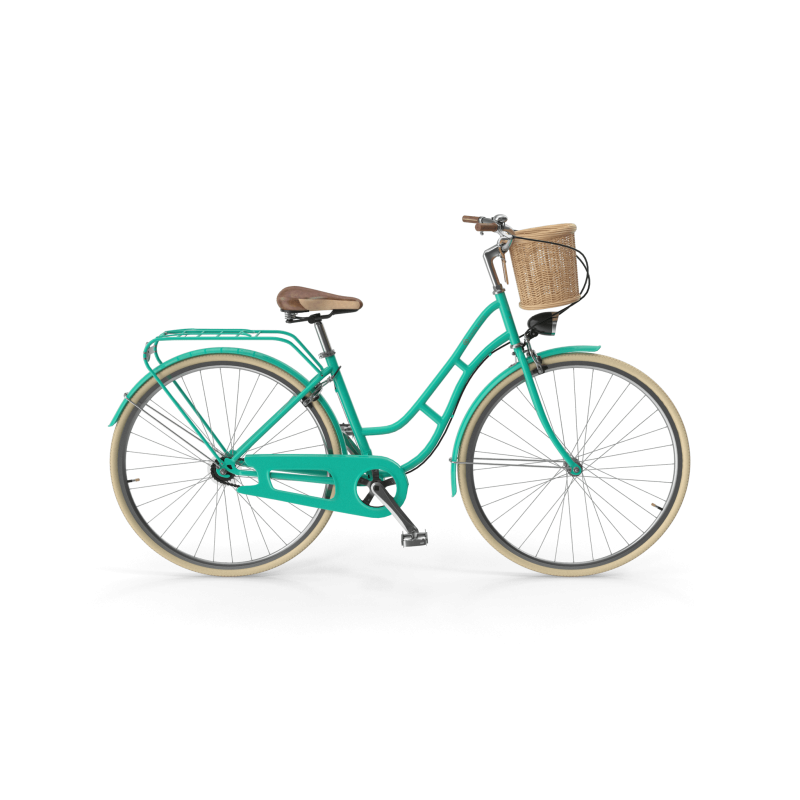 Fun Road Bike
