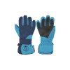 Ski Gloves 03