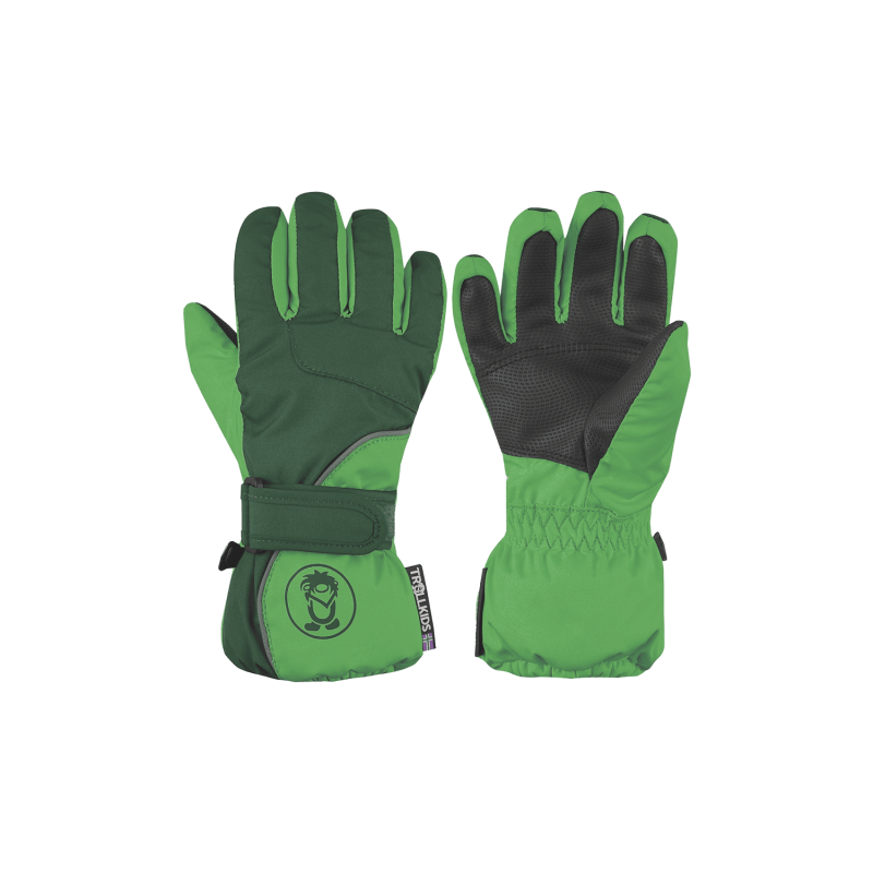 Ski Gloves 03