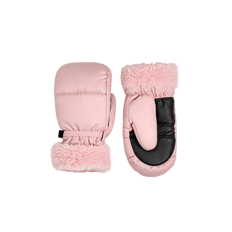 Ski Gloves 08